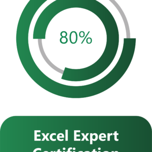 Excel Expert Course