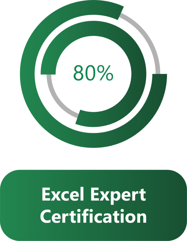 Excel Expert Course