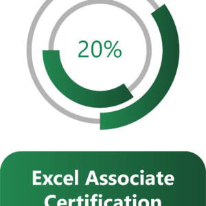 Excel Associate Course